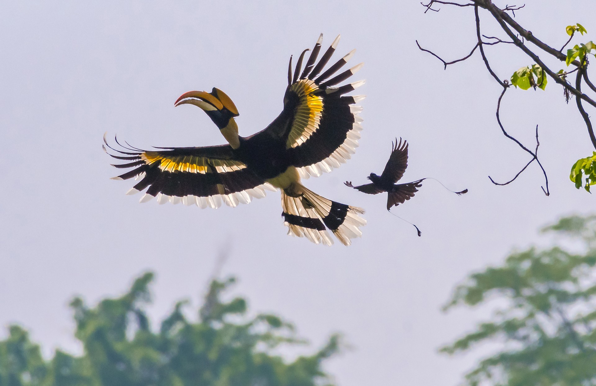 - Nature inFocus Photography Awards 2019: The Winners | Nature inFocus