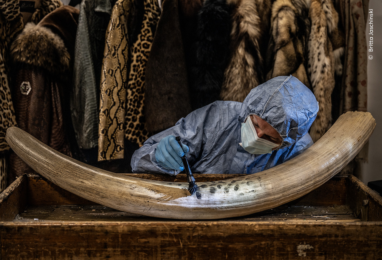 Britta Jaschinski Wildlife Photographer of the Year | Nature Infocus