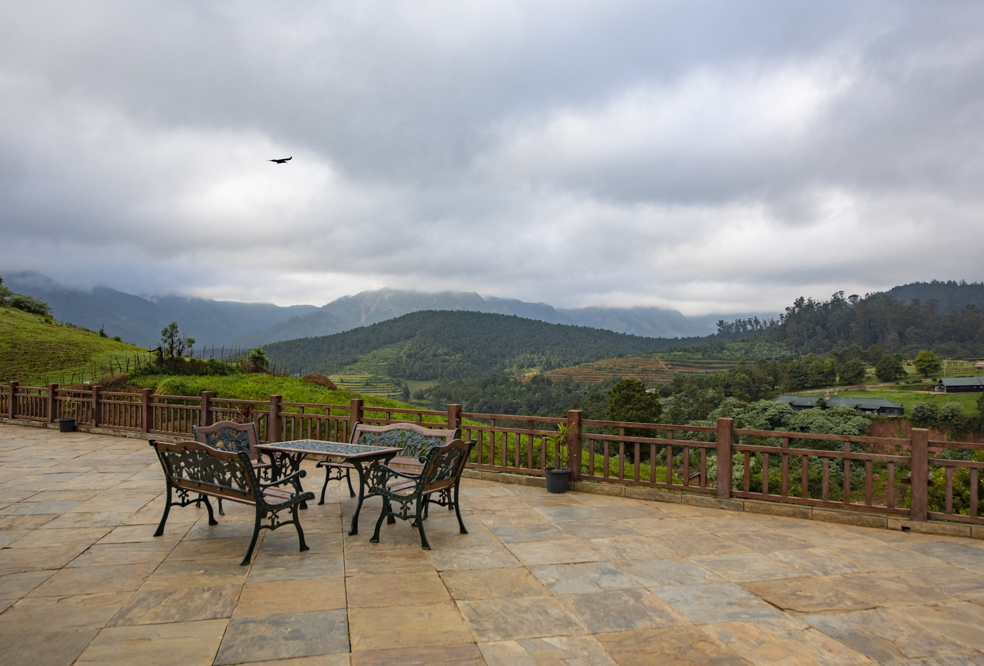 Dsc pp - Destiny Farm Stay: A Slice Of Heaven In The Nilgiris | Nature inFocus