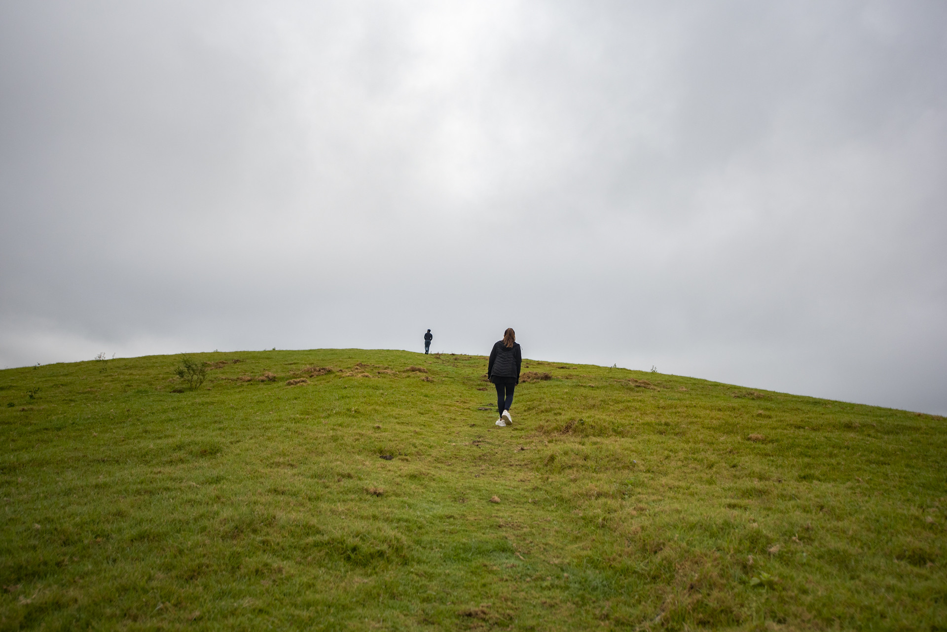 Dsc pp - Destiny Farm Stay: A Slice Of Heaven In The Nilgiris | Nature inFocus