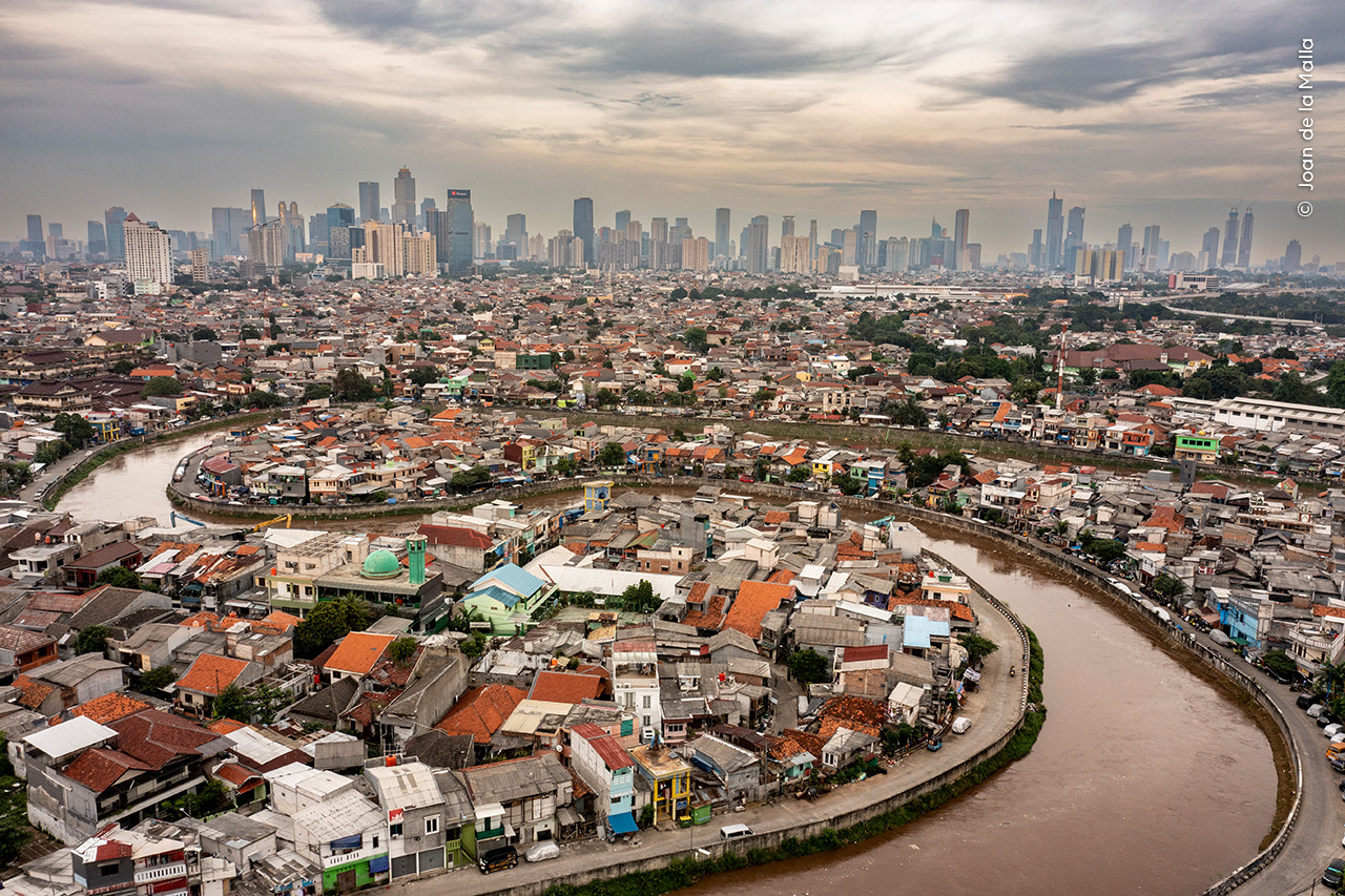 Joan de la Malla Wildlife Photographer of the Year | Nature Infocus
