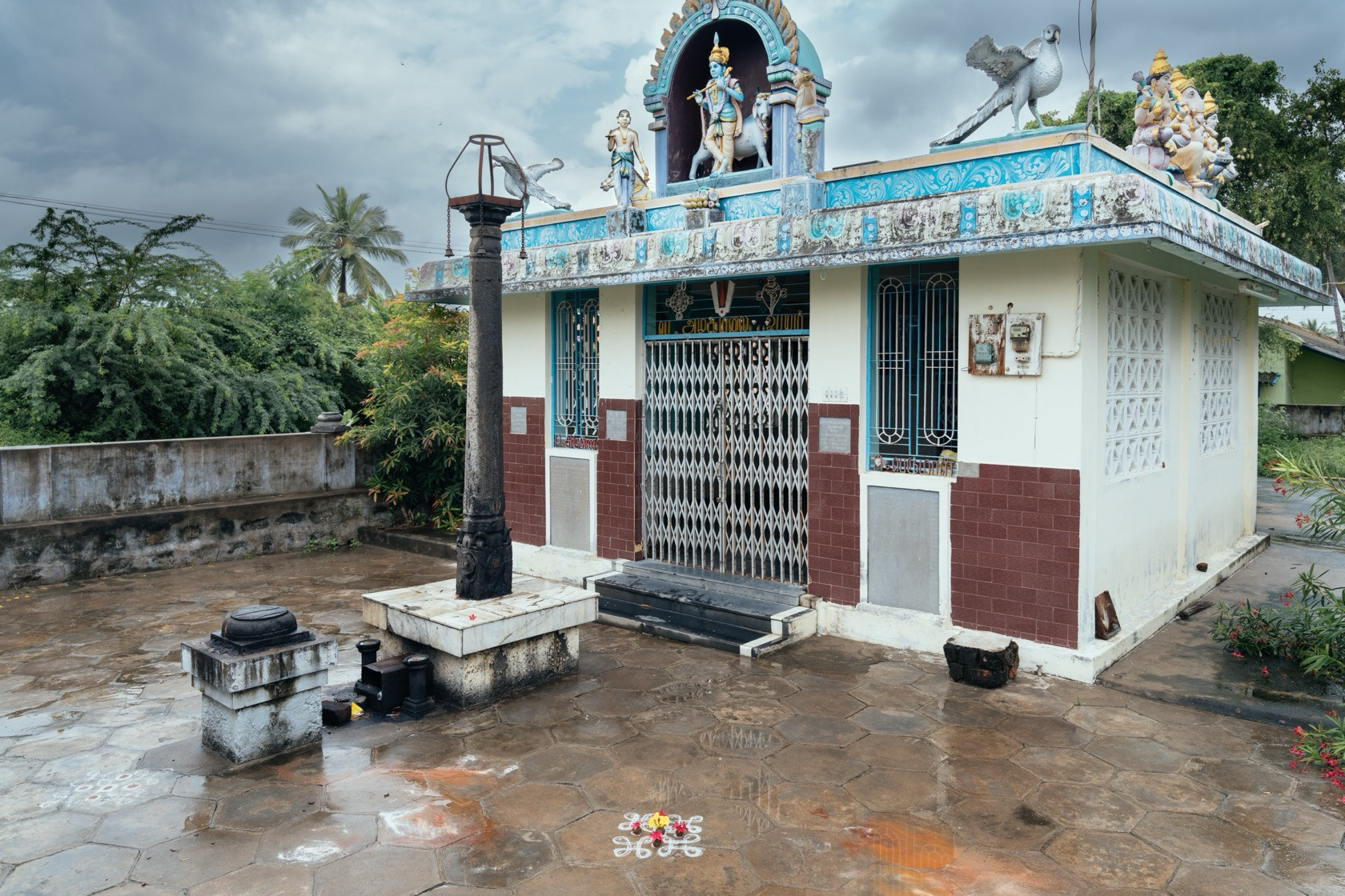 Kolam | Nature Infocus