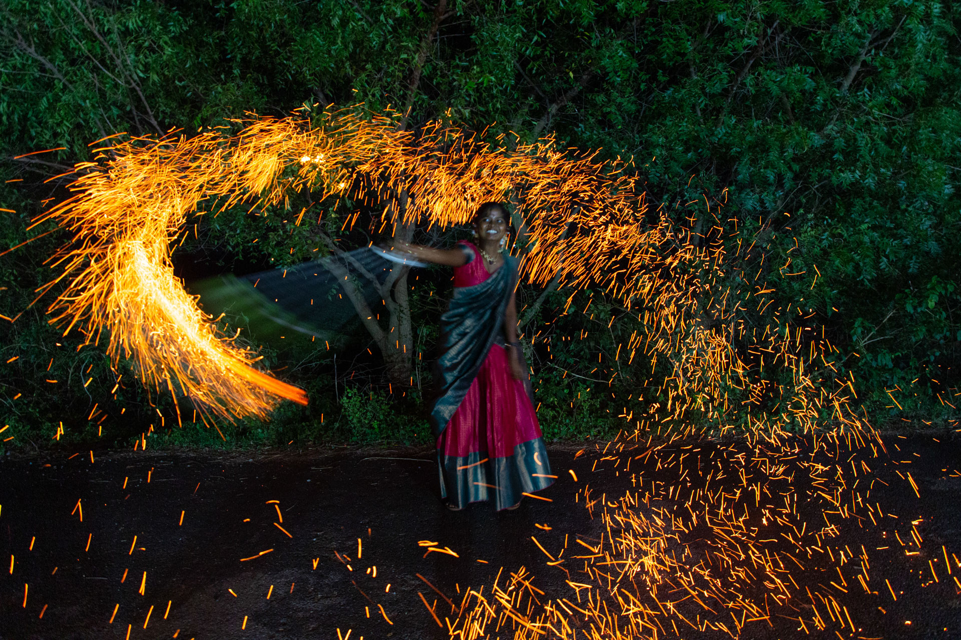PATTABI RAMAN PALM | Nature Infocus