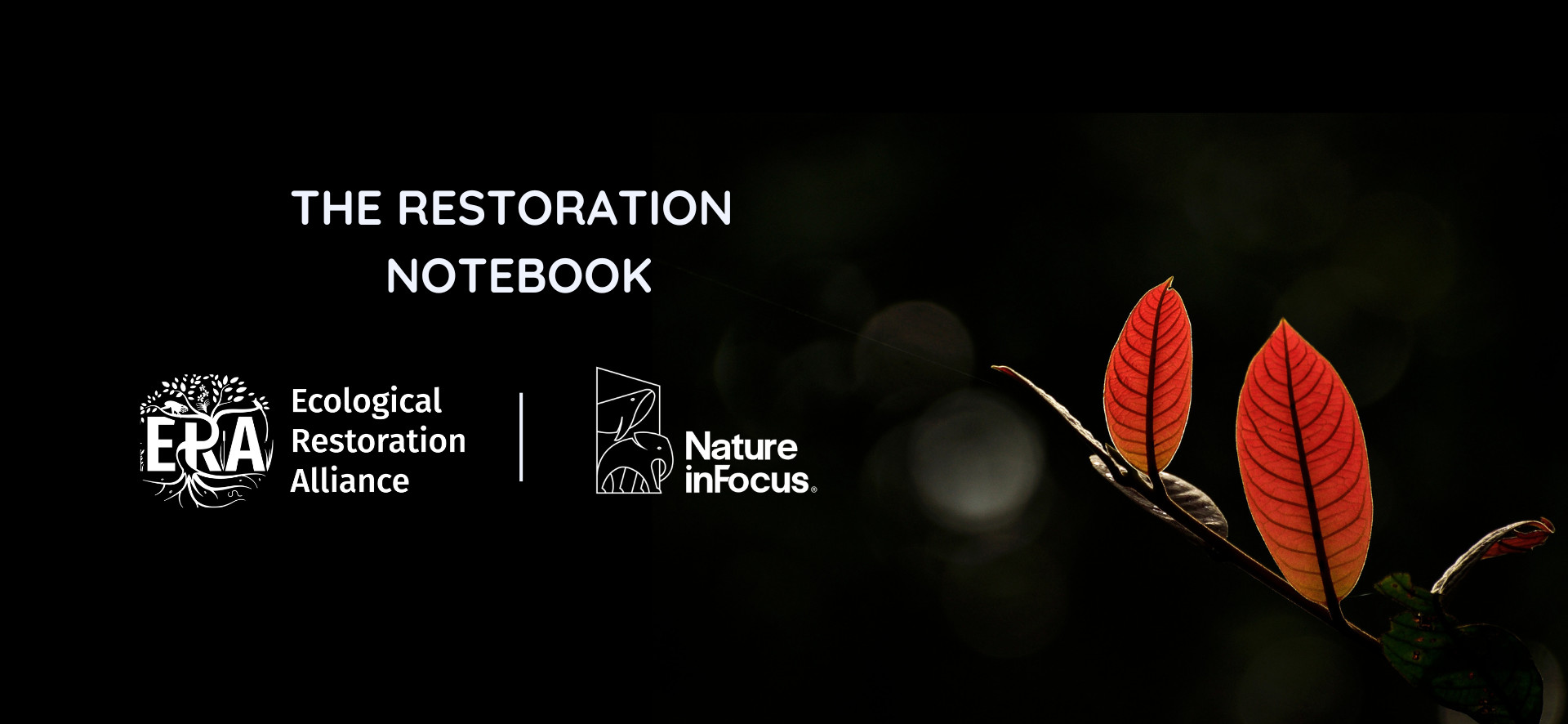 The Restoration Notebook
