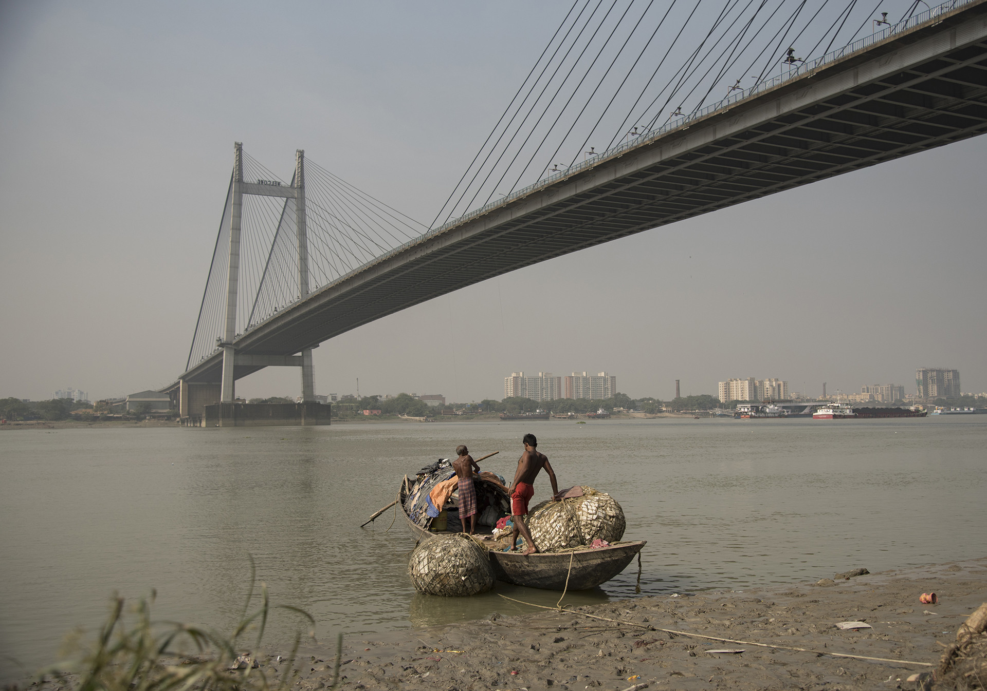 Lockdown effect: Gangetic dolphins spotted at Kolkata ghats after