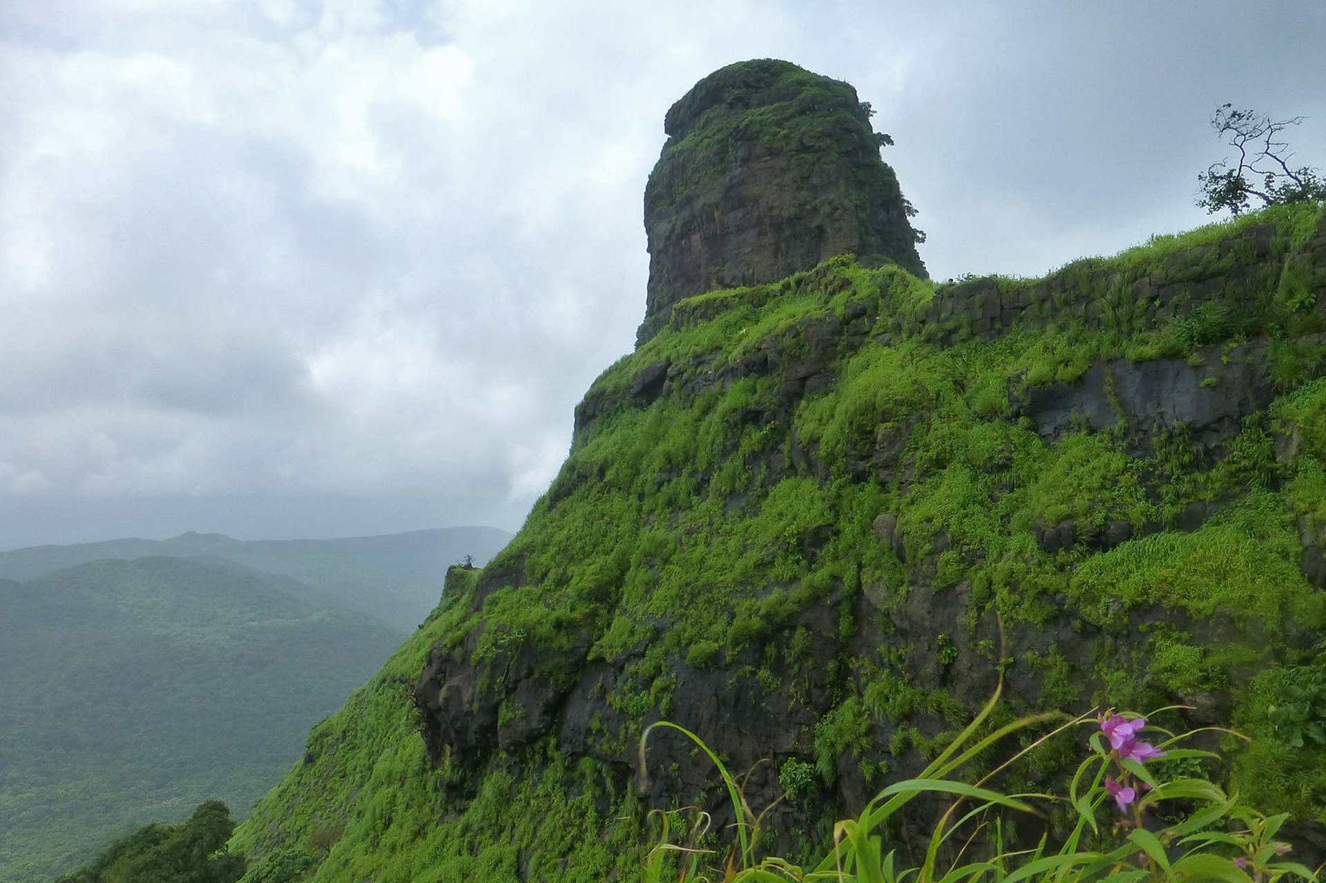 Karnala Fort