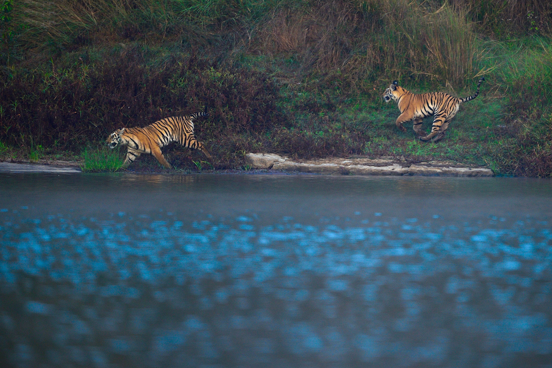 Snapshots From Panna National Park | Nature inFocus