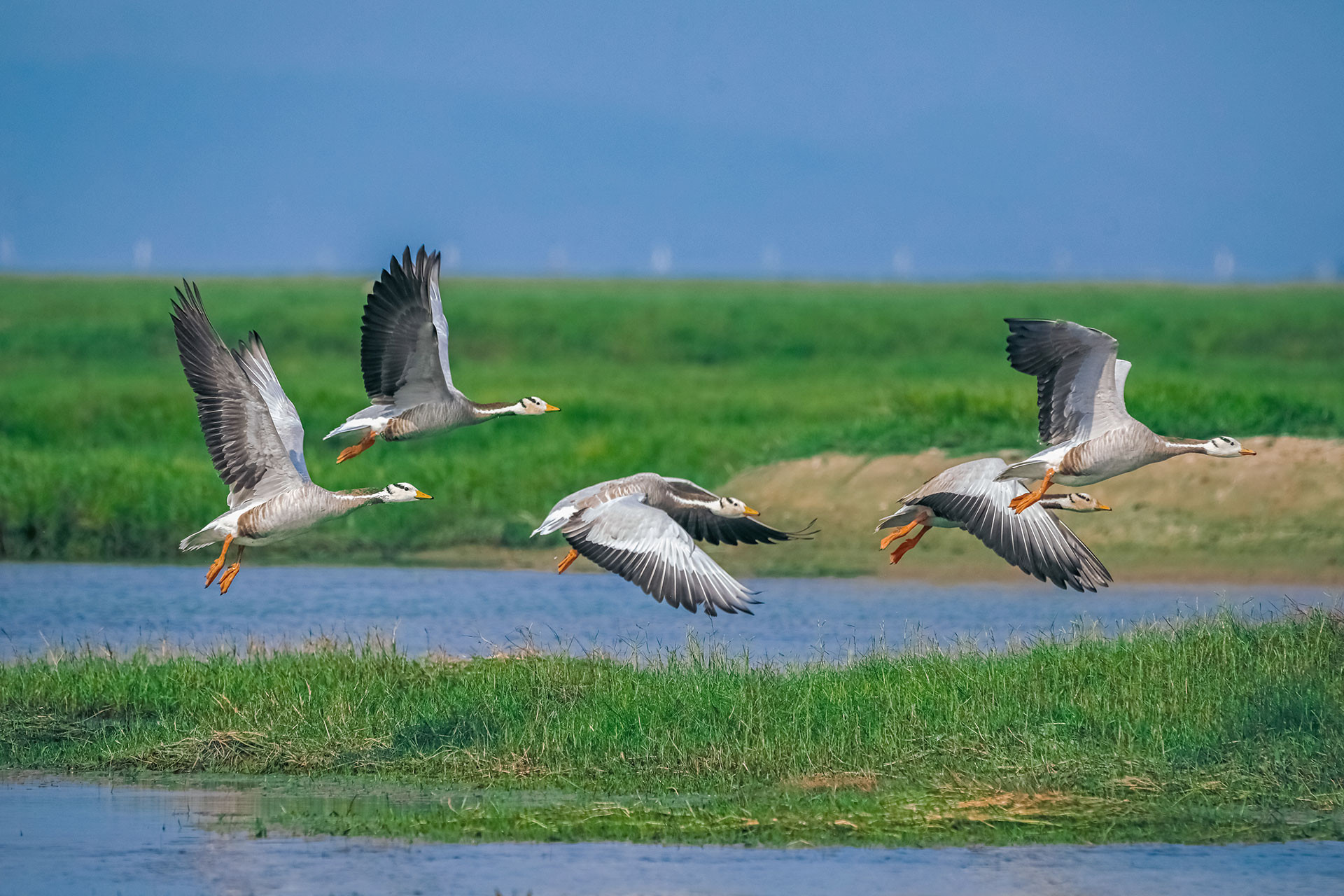 Chilika Lake: A Beacon For Wetland Conservation