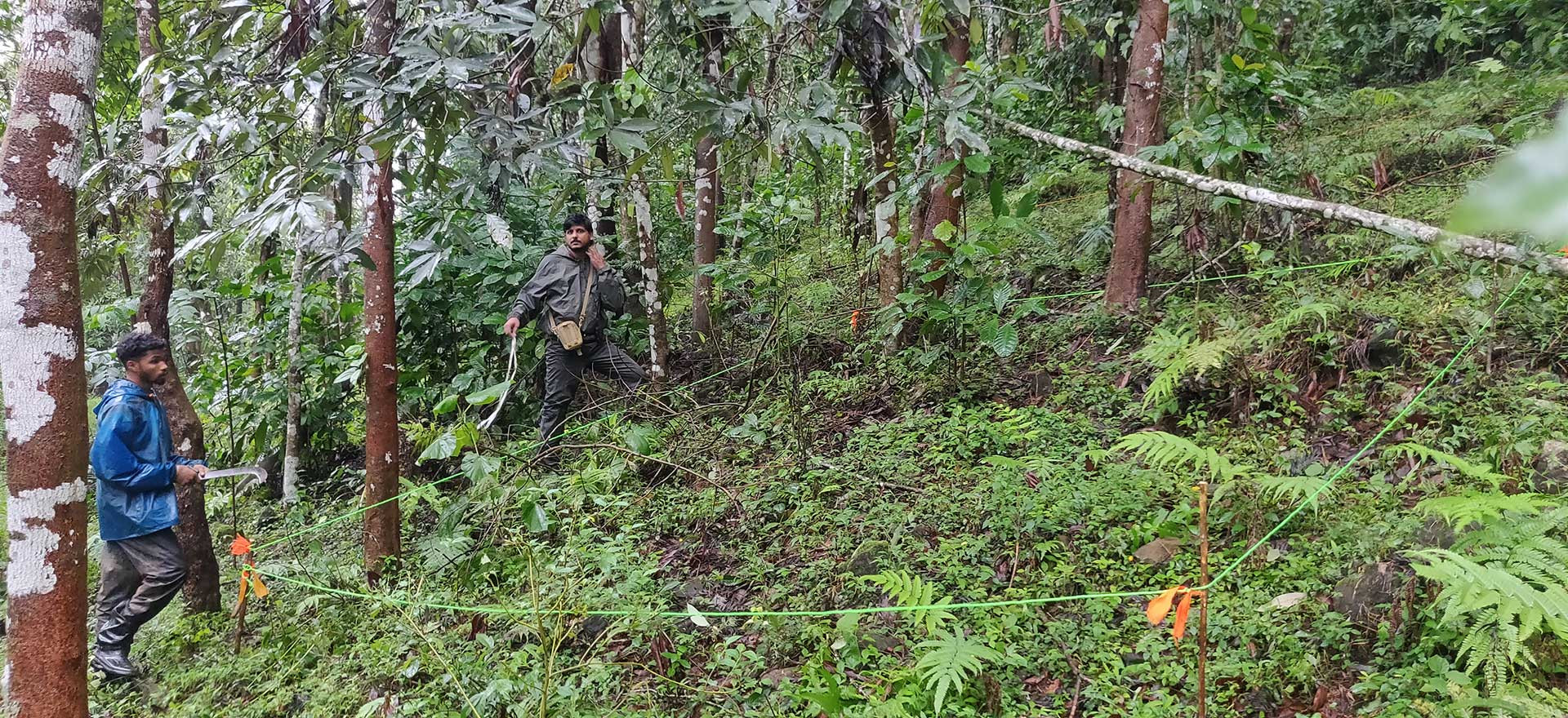 Restoring Rainforests In The Anamalai Hills | Nature inFocus