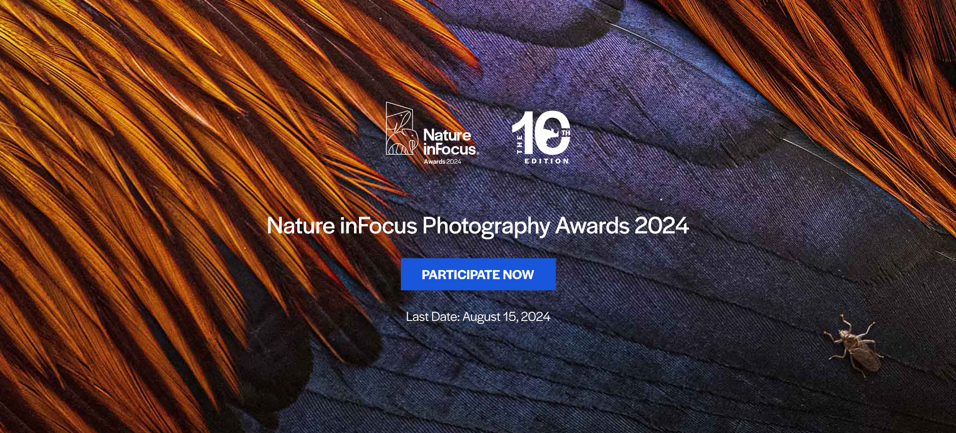 Nature inFocus Photography Awards 2024 | Nature Infocus