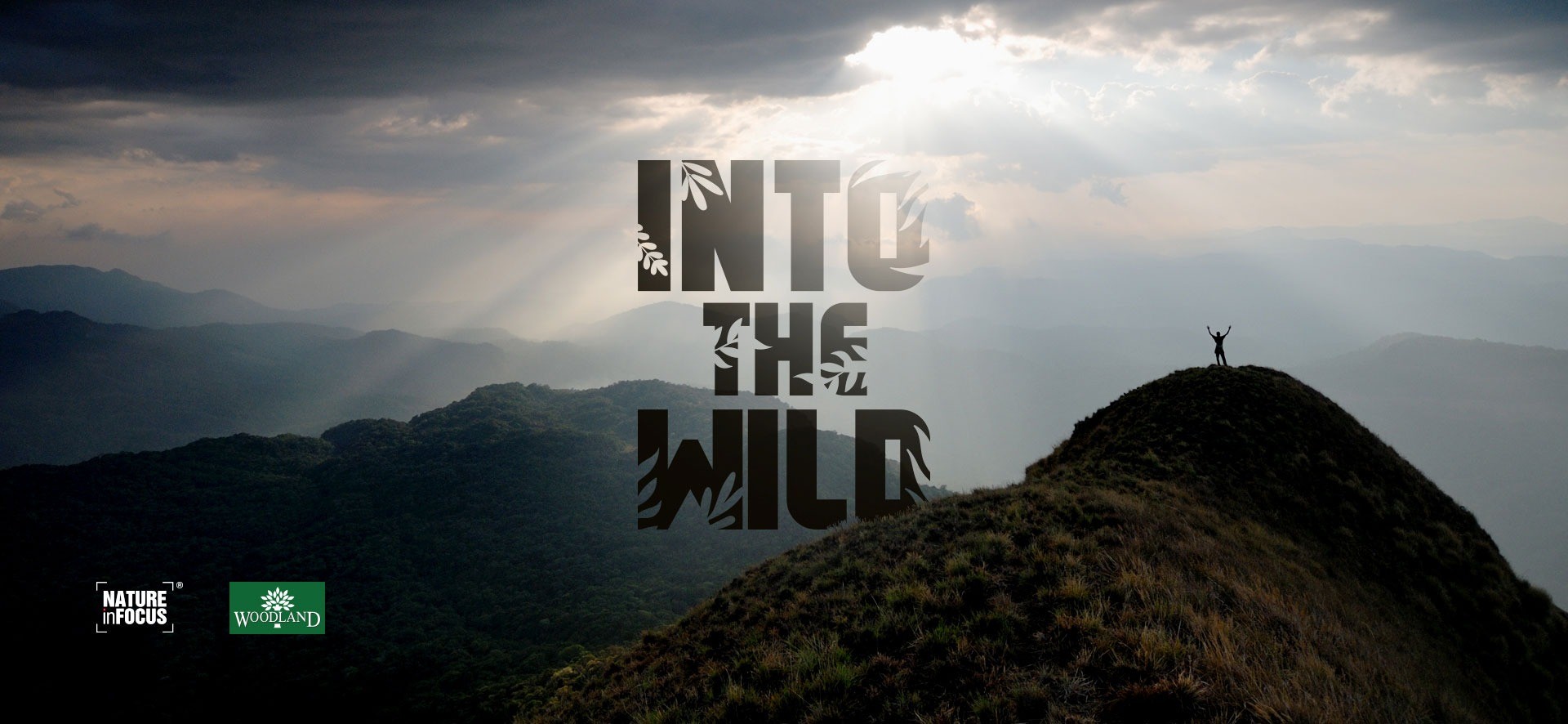 Into Wild | Nature inFocus