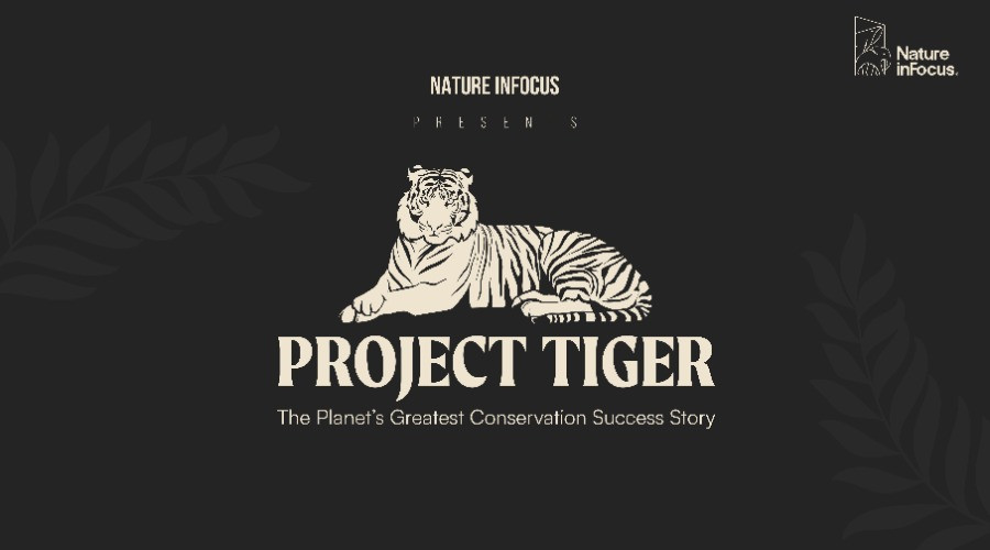 project tiger research paper